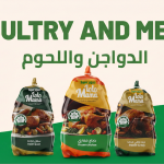 Gemini_Generated_Image_pe5x77pe5x77pe5x