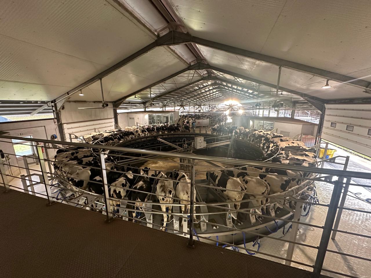 Logistics Compliance